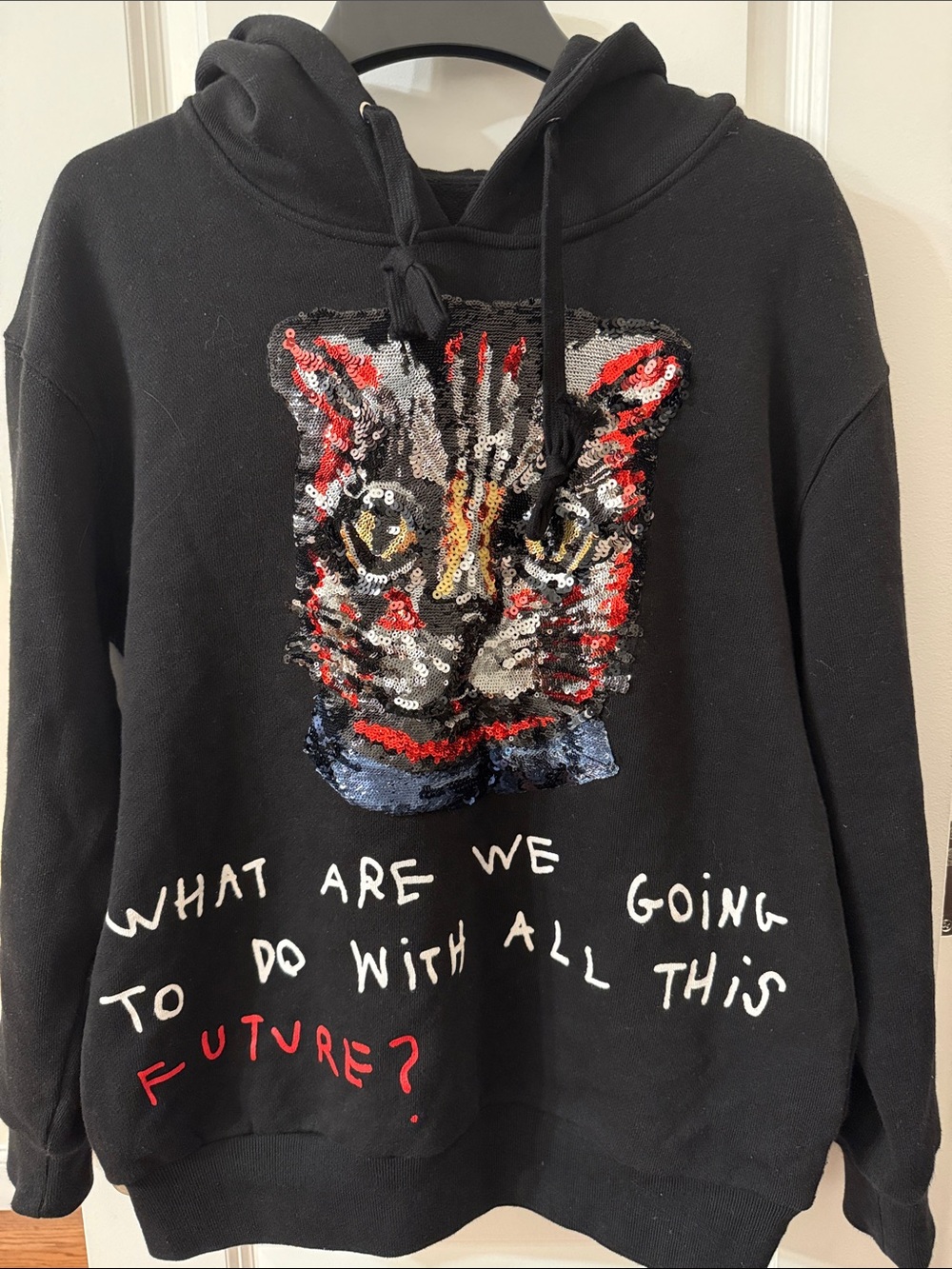 Black Hoodie with Sequin Cat Graphic and Script